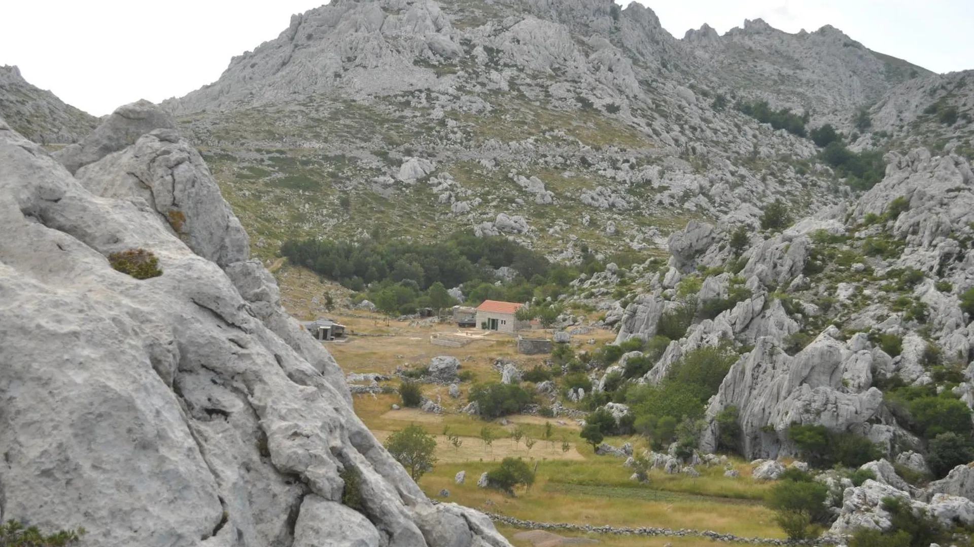 Apartamento Studios Lav Privlaka