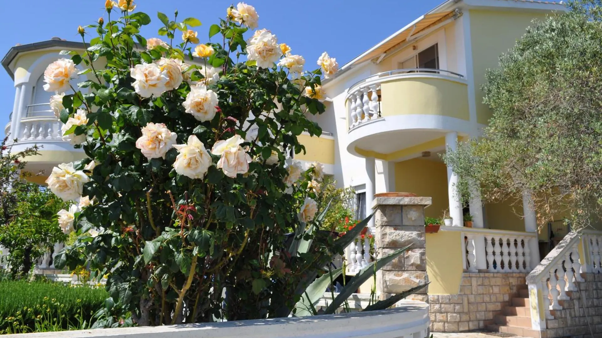Studios Lav Privlaka  Privlaka (Zadar)